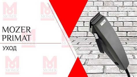 Moser Primat | Уход - YouTube