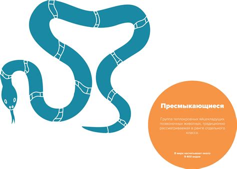 Графическое оформление школы «Прометей», г. Якутск