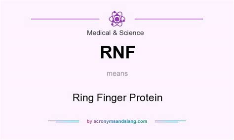 rnf ring finger protein  medical science  acronymsandslangcom