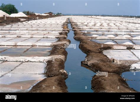 Salt Pans at Uttan Bhayander west Maharashtra India Stock Photo - Alamy