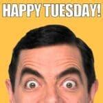 Discover the Best Happy Tuesday Memes for Work (Before They're Gone!) - paucnch