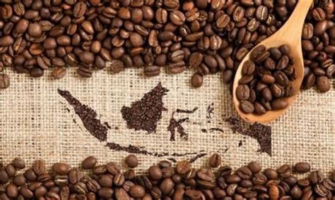 kopi indonesia  mata dunia sada coffee