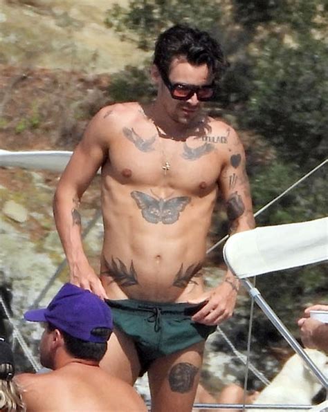 Harry Styles Doesn't Have A Daughter? The Shocking Truth Uncovered Image 4