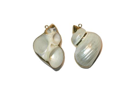 shell charm pendant bead trimming craft