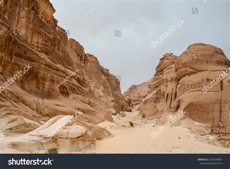 185 Hammada Background Images, Stock Photos, 3D objects, & Vectors ...