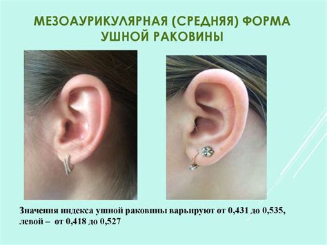 Ушная раковина и телосложение девушек 18-19 лет: изменчивость и связи ...