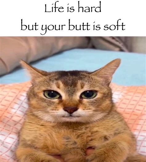 𝓯𝓻𝓮𝓪𝓴𝔂𝓿𝓻𝓸 | I’m jorking my johnson rn, I’ll hop on Fort later👅👅