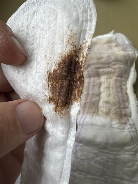 Pee period fat tampon and poop : r/Findpadsandpanties