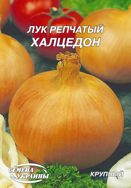 Семена Лук репчатый Халцедон, 15 г (Семена Украины) – фото, отзывы ...