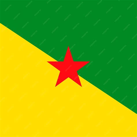 Premium Vector | French guiana flag official colors vector illustration