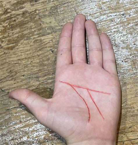 palm lines  pi p rmildlyinteresting