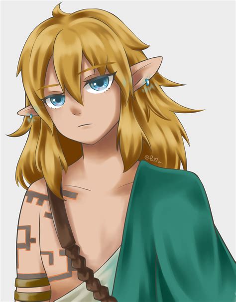 Link - Legend of Zelda Tears of the kingdom by MieAka on DeviantArt 
