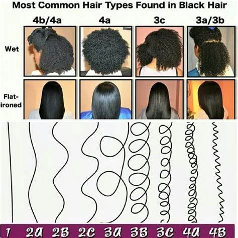 Most common hair types in black hair | Black hair types, Hair type ...