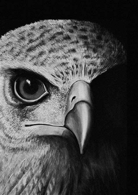 Chalk & Charcoal :: Behance