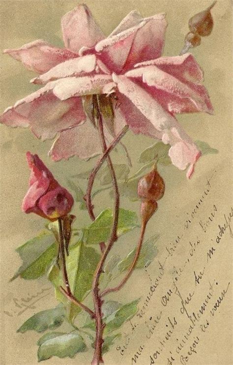Розовые р | Catherine klein, Flower painting, Floral painting