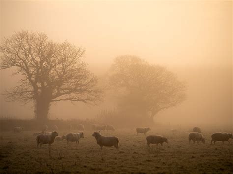 Freezing Fog