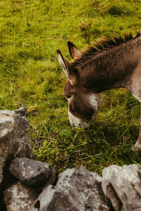 1.000.000+ Natural+big+boob+pictures Bilder und Fotos · Kostenlos