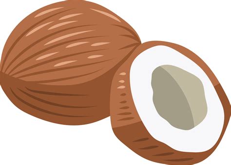 coconut cartoon png