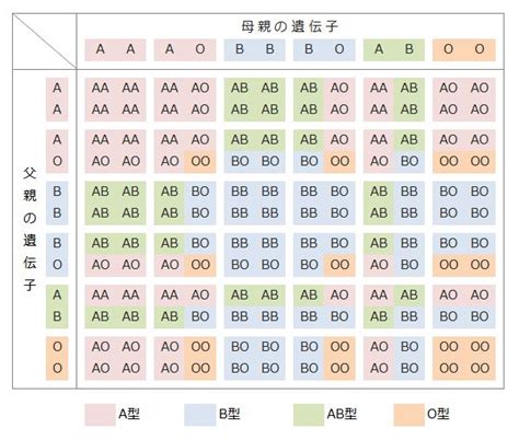 血液型の組み合わせ表 | 学習, 子供に教えること, 血液型