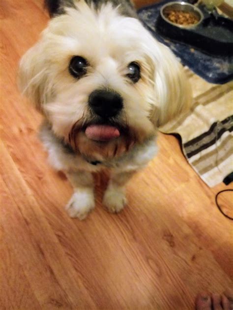 My cute boy is 17 years old today 🎂 : r/aww