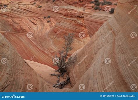 Rock Formations in the North Coyote Buttes, Part of the Vermilion ...