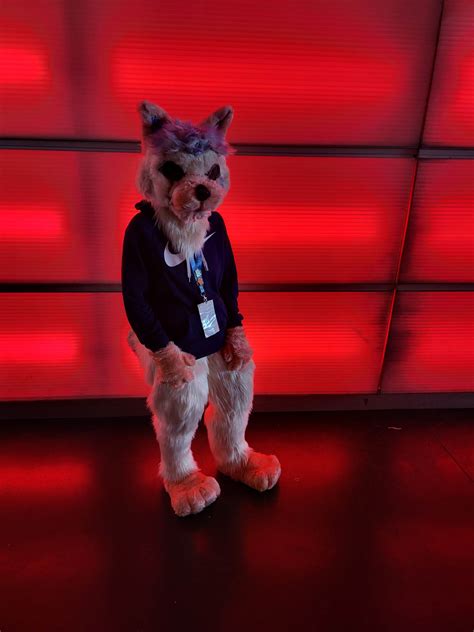 Student, 20, dresses as 'true self' Staffordshire Bull Terrier called