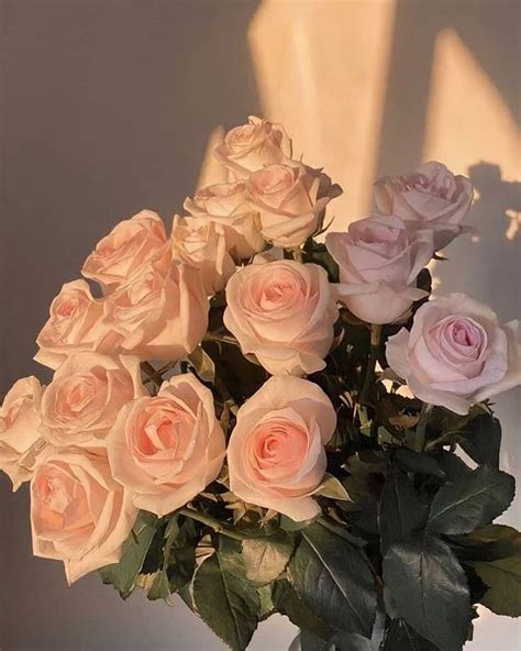 OᏞᎩᎪ ᏦᕼОᏦᕼᏞОᐯᎪ on Instagram: “Похожих дней не бывает. Каждый отличается ...