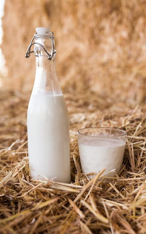 fresh milk bottle glass hayloft stock   royalty