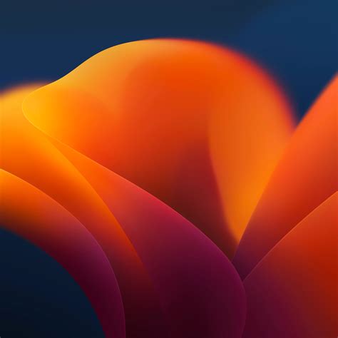 official macos ventura wallpaper