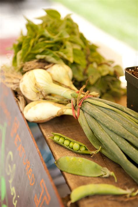 This Week at the Greenmarket: Seed-Saving Smorgasbord – Plant Talk