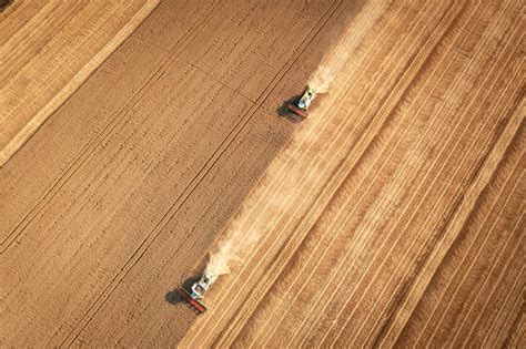Tilled bilder – Bläddra bland 87,227 stockfoton, vektorer och videor ...