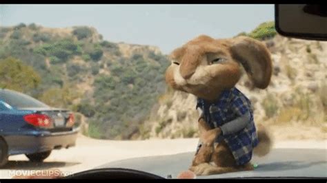 Does Hollywood Hate the Easter Bunny? | E! News