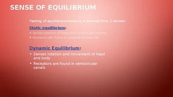 Introduction To Sensory Function II BIOL201 by Q College | TPT