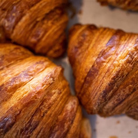 Bloc | Somerville MA