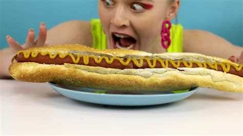 dog licks woman stock footage   stock