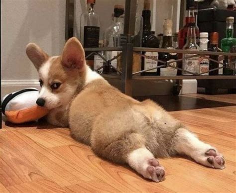 You just want to chill, and she gives you that look. - 9GAG