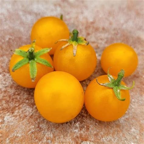 Orange Pinocchio - Lilla Plantskolan i Julita AB
