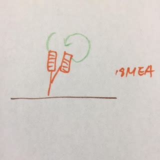 18-MEA