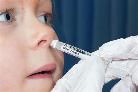 nasal spray seasonal flu vaccine photograph  dr p marazziscience