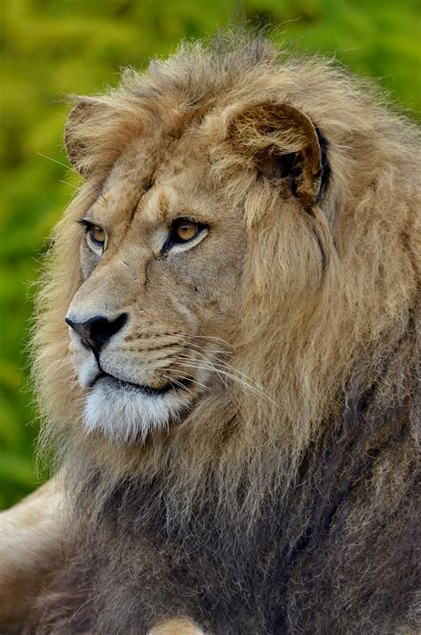 Big+Tit+Selfies Photos, Download The BEST Free Big+Tit+Selfies Stock