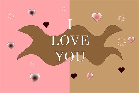 color graphic  designstudio creative fabrica