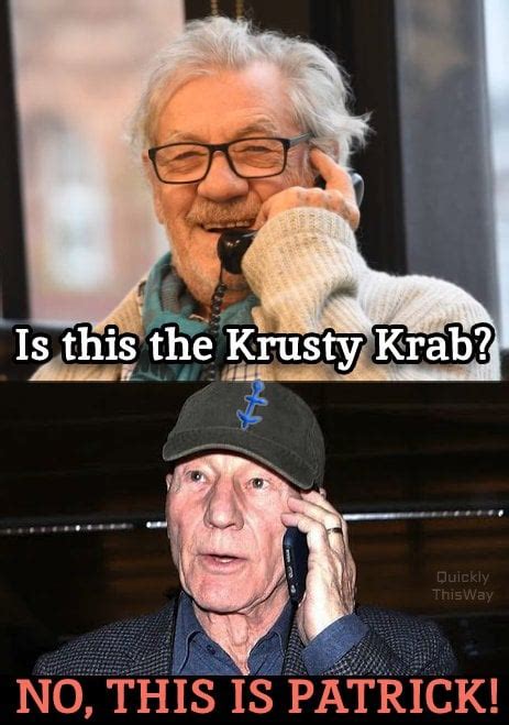 What a Krabby Patty : r/memes