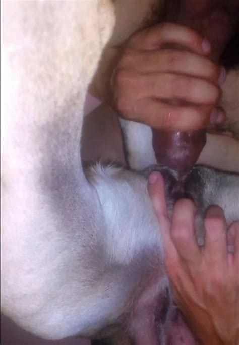 Boy Fucks His Dog