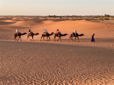 7 Days Trek Through East Morocco's Hidden Routes And Sahara Desert ...