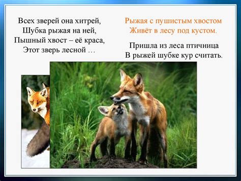 Д. Хармс «Храбрый ёж». H. Сладков «Лисица и Еж». 1 класс - презентация ...