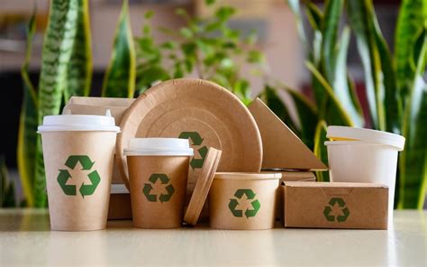 What Is A Biodegradable Product?
