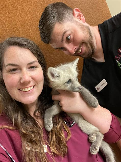 animal clinic oak view 3