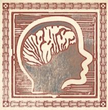 Oblivion: Intelligence - Orcz.com, The Video Games Wiki