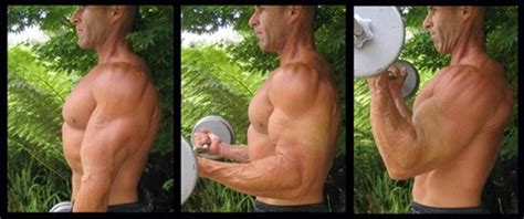 big biceps   awesome   bicep exercises