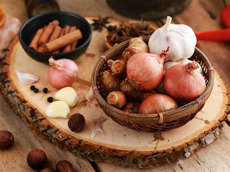 jenis jenis bumbu nusantara  wajib  ketahui